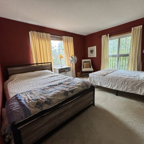Spacious and Inviting Bedroom: This sunlit bedroom in The Louise is a harmonious blend of comfort and space, featuring a queen bed and an additional single bed, making it ideal for family stays. The rich wall color sets a warm, welcoming tone, while the natural light from the windows offers a peaceful view of the surrounding greenery.