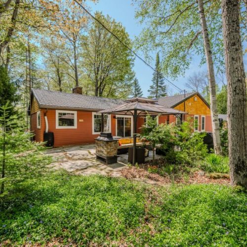 Welcome to  Cardinal Hill, in the heart of a forest.