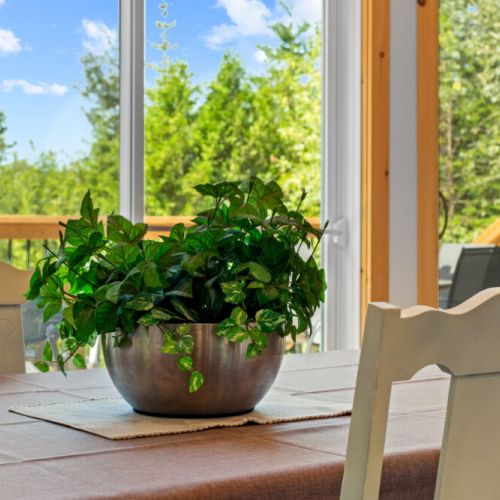 Large windows fill the cottage with natural light and peaceful forest views.