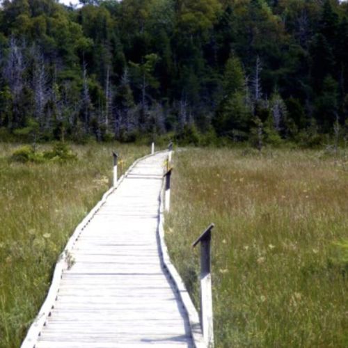 Enjoy strolling the North Oliphant Fenn boardwalk, a private nature reserve.