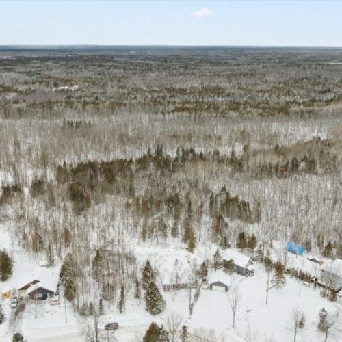 Wide-open Bruce Peninsula forest views — peaceful, scenic, and perfect for nature lovers.