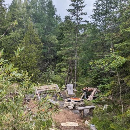 A cozy firepit hideaway nestled in the woods—surrounded by nature, perfect for unplugging and making memories under the stars.