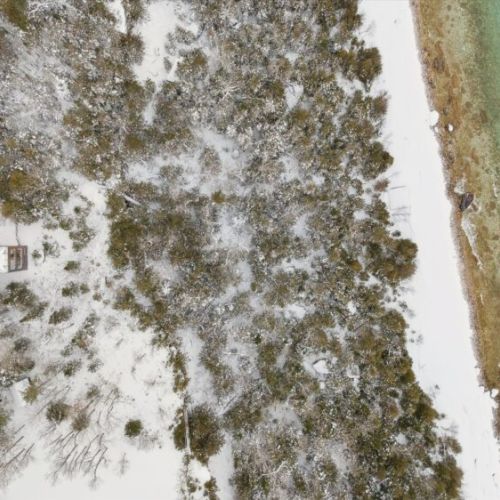 A bird’s-eye view of the surrounding forest and shoreline, showing the home’s peaceful setting tucked into the trees along Georgian Bay.