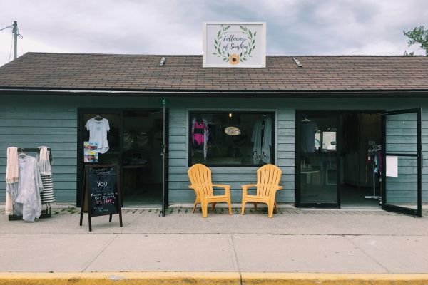 Sunflowers & Shorelines