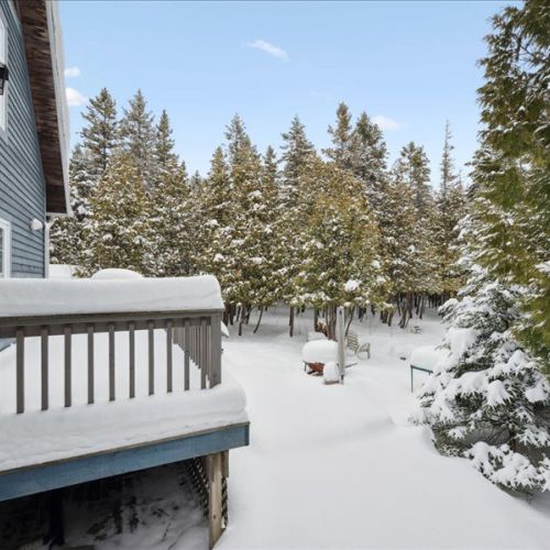 Private, treed backyard blanketed in snow, a quiet natural retreat just steps from the cottage.