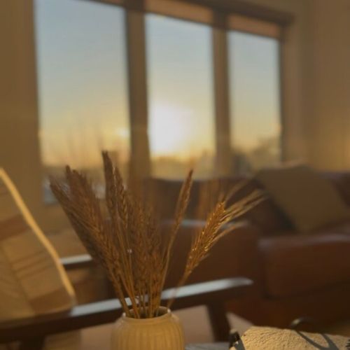 Soft evening light filters through the space, capturing the calm, coastal atmosphere that defines the Driftwood experience.