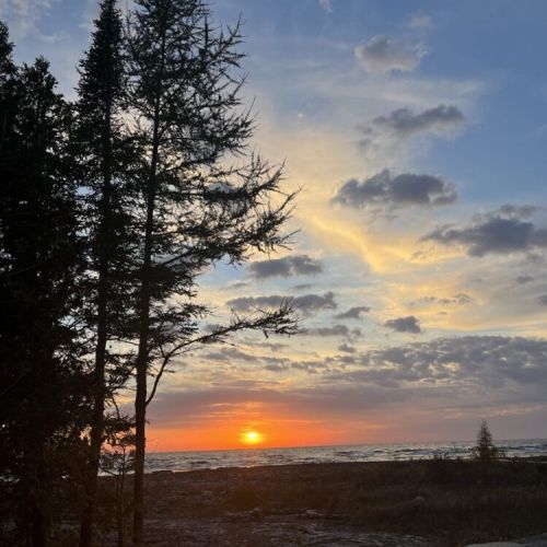 Golden hour magic filters through the trees, casting a warm glow over the shoreline—perfect for peaceful evenings and quiet reflection.
