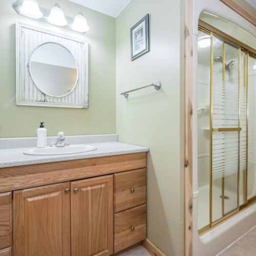 Lower level bathroom with walk-in shower.