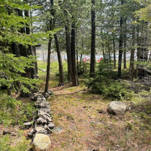 Scenic wooded path leading from the cottage to the shoreline and beach area