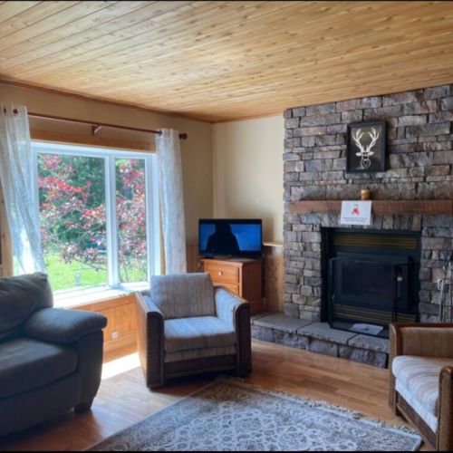 Relax in a sunlit living room with forest views, rustic charm, and a stunning stone fireplace—ideal for your countryside getaway.