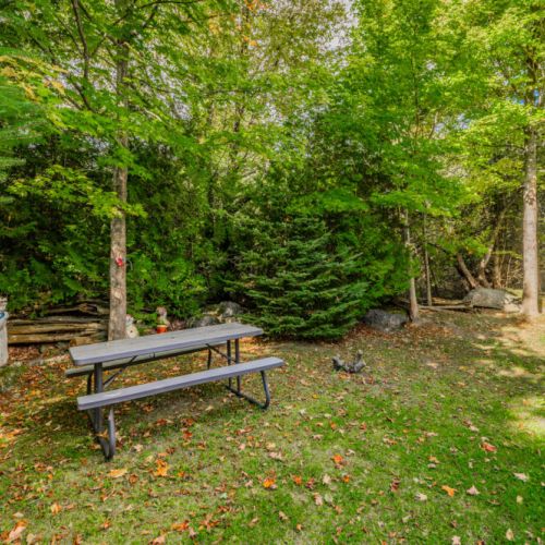 Enjoy a quiet meal or a refreshing drink at this peaceful picnic spot, surrounded by lush greenery and the calming sounds of nature. Perfect for outdoor dining or simply unwinding with loved ones.