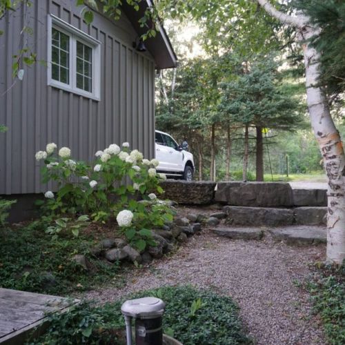 Vibrant flowers and greenery surround you.