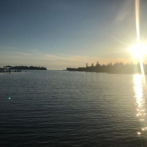 Enjoy peaceful evening light on the calm waters of Little Pine Tree Harbour, just steps from the cottage.