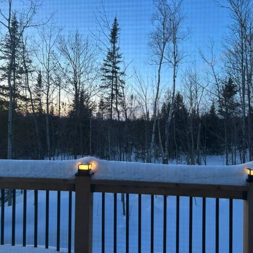 A nice winter view of the back yard.