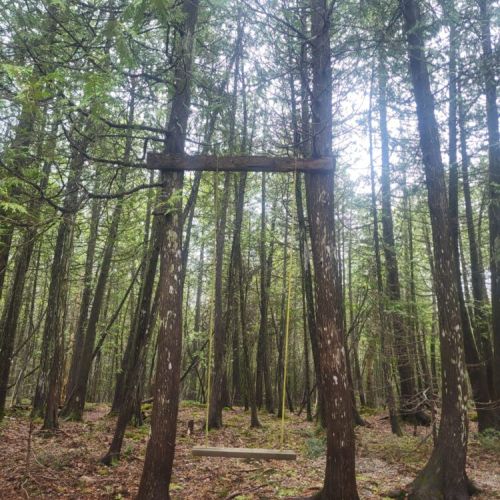 Towering pines, winding forest paths, and nature’s quiet beauty invite you to slow down and reconnect