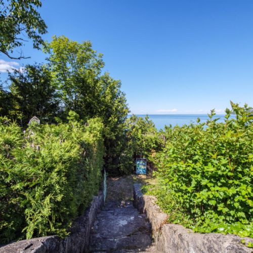 A private pathway winds through lush greenery to your exclusive Georgian Bay shoreline.
