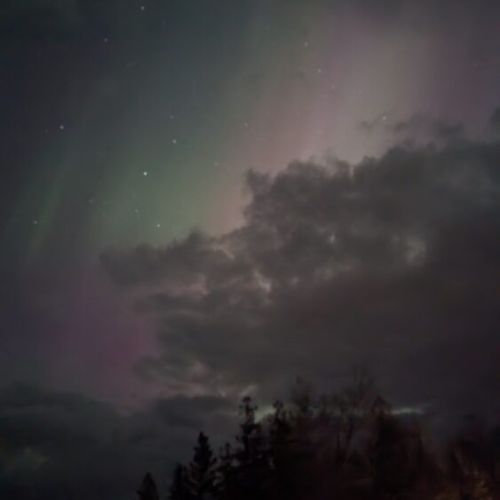 The Northern Lights put on a cosmic show above the treetops — no filters needed.