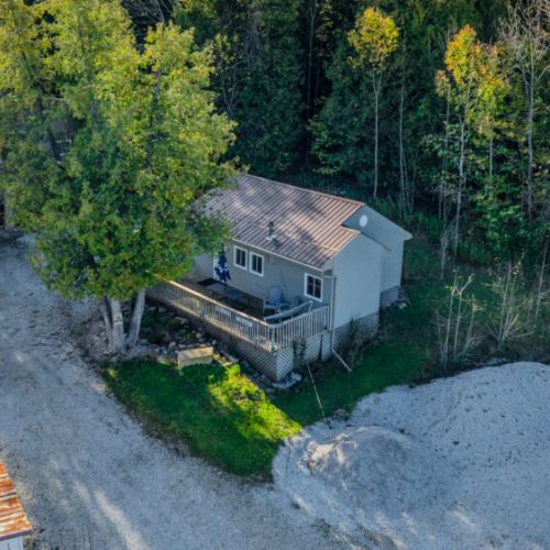 Cozy cottage surrounded by tall trees, offering a peaceful retreat with a spacious deck for outdoor relaxation.