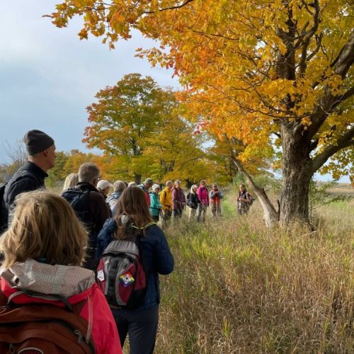 Book a private hike on the Bruce Trail with our certified Ontario Hike Leader.