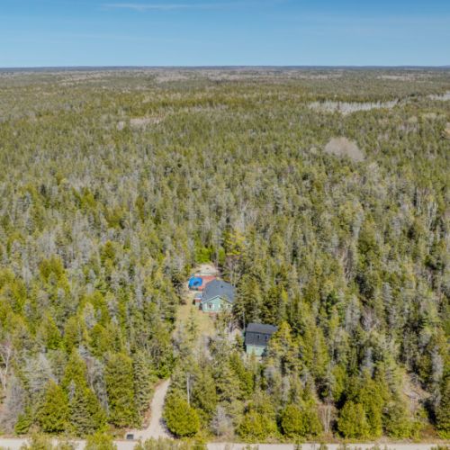 Immersed in nature—this vacation rental offers unmatched privacy and serene views of the lush Bruce Peninsula wilderness.