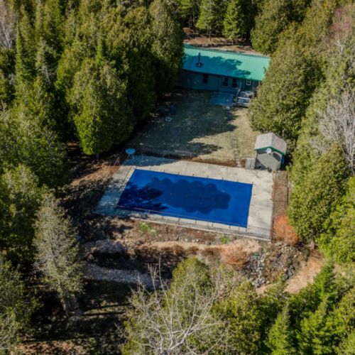 Aerial view of a private woodland retreat featuring a in-ground pool and green-roofed cabin—ideal for peaceful, nature-inspired vacation stays.