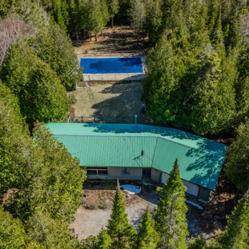 Secluded forest retreat featuring a metal-roofed cabin and private in-ground pool—ideal for tranquil vacation rentals or nature-focused escapes.