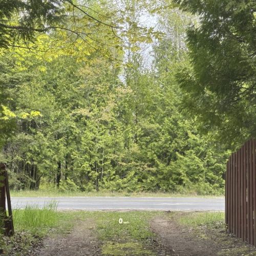 Gated trail leading to the main road—easy access for road-trippers while maintaining the peaceful seclusion of a forest escape.