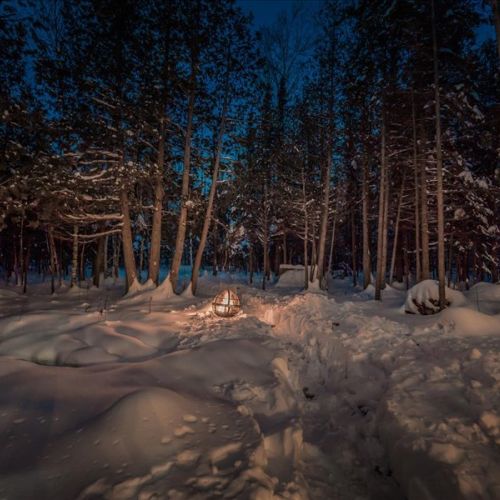Winter forest surroundings with a glowing fire pit area for evenings outdoors. A beautiful setting for quiet nights and fresh Peninsula air.