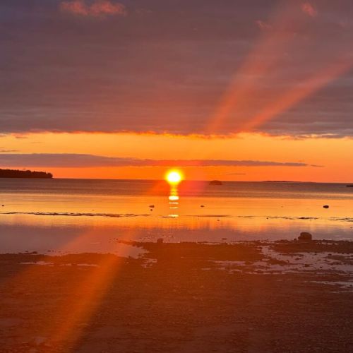 Explore local beaches along Lake Huron and take in breathtaking sunsets