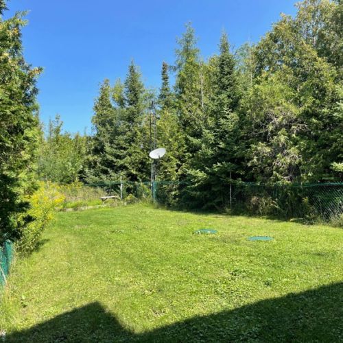 Let your pets run free in the fenced in yard area.