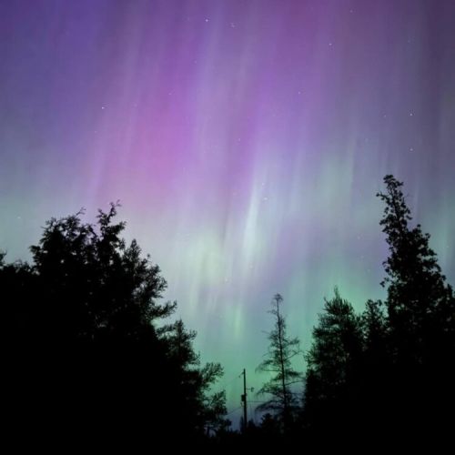 Norhern lights seen from the property in May 2024