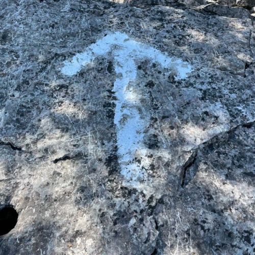 Book a private hike on the Bruce Trail with our certified Ontario Hike Leader.