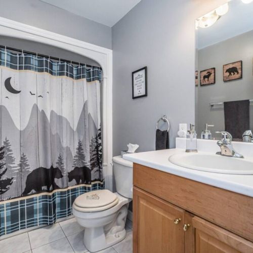 The spacious main bathroom with shower.