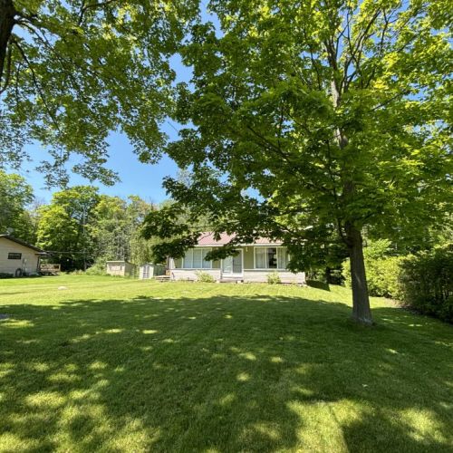 A picturesque yard with well-maintained green grass and mature trees providing ample shade. In the background, a charming house with a porch and large windows.