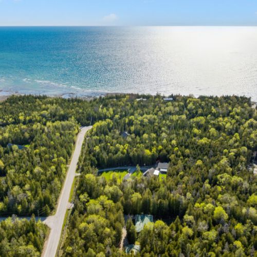 Endless blue. A sea of green giving way to a horizon that goes on forever.