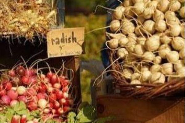 Lion’s Head Farmers’ Market