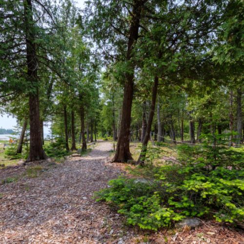 Walk one of the trails nearby!