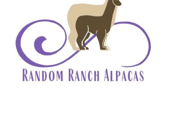 Random Ranch Alpacas