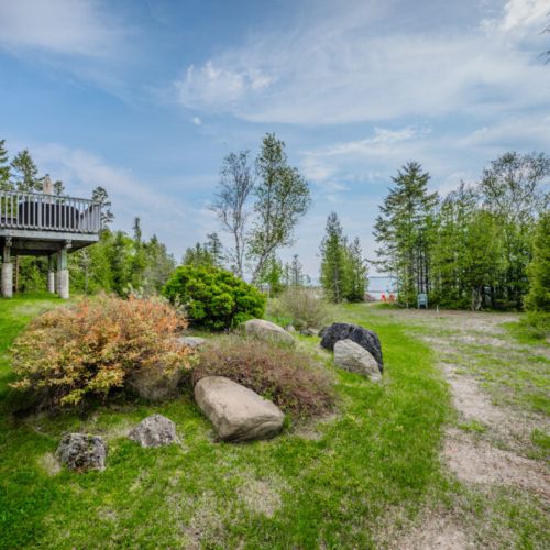 Welcoming garden path with mature trees and natural landscaping, offering a peaceful first impression as you arrive at the cottage.