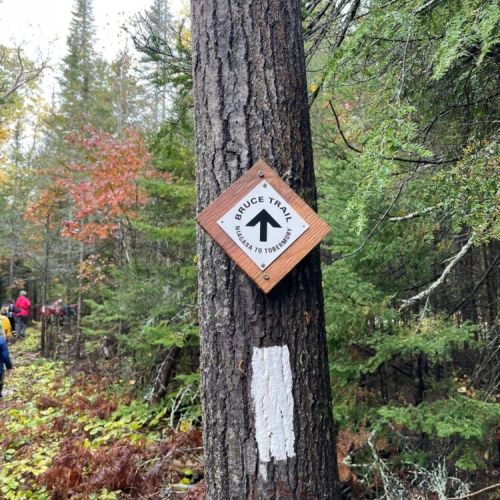 Book a private hike on the Bruce Trail with our certified Ontario Hike Leader.