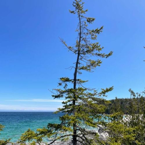 Book a private hike on the Bruce Trail with our certified Ontario Hike Leader.