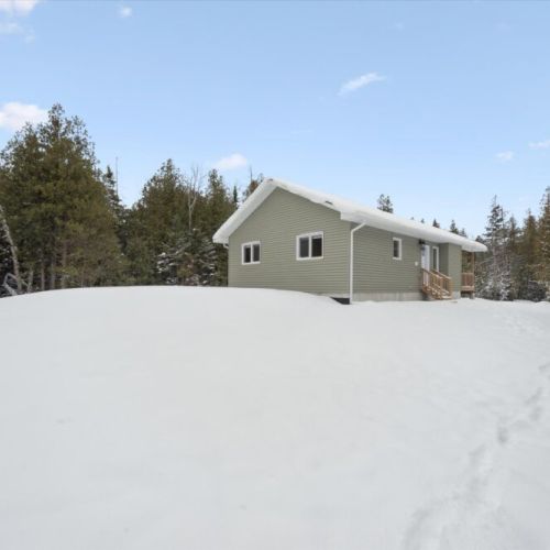 Woodland Cottage nestled into its private, tree-lined property, offering seclusion while still being close to Lake Huron and local attractions.