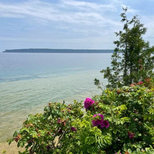 Scenic lakefront view with vibrant shoreline greenery and distant cliffs under a partly cloudy sky.