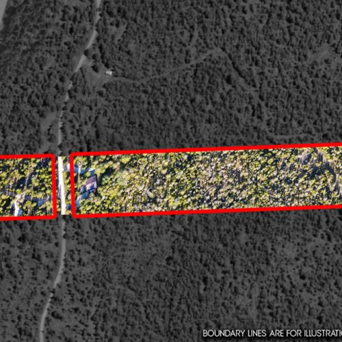 Nearly 4 private acres surrounded by mature cedar forest offer exceptional privacy and room to explore.