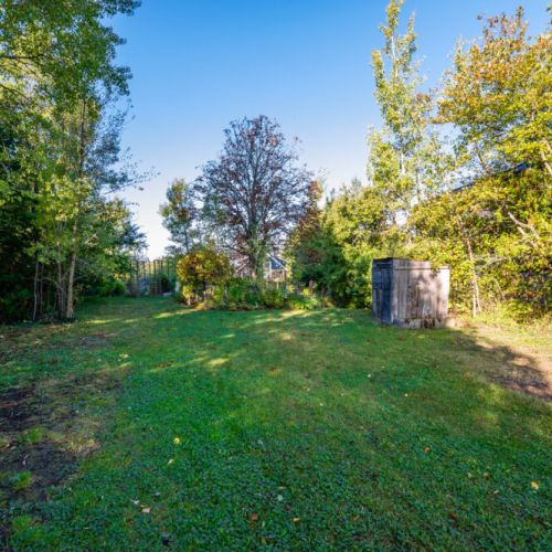 Ample space for outdoor activities and adventures in this expansive backyard, perfect for kids and pets to run and play.