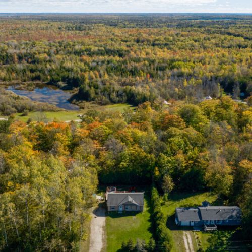 Nestled in the heart of nature, Maple Cottage offers a peaceful retreat surrounded by lush forest and scenic views.