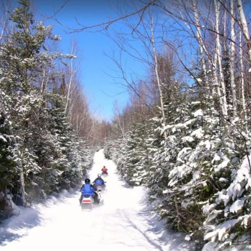 Hit the snowy trails right from the property with thrilling snowmobiling experiences — ideal for winter travel fun.