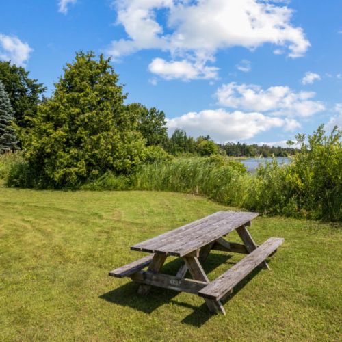 Bring lunch and enjoy a picnic by the beautiful shores of Miller Lake.