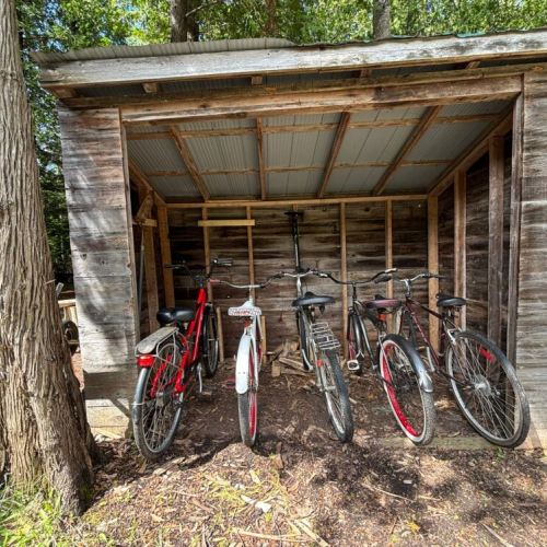 Rustic bike shed stocked with cruiser bikes—perfect for exploring scenic trails, local towns, and lakefront roads during your outdoor adventure or family-friendly getaway.