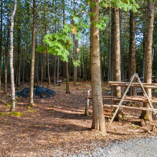Gather around the fire pit beneath the towering cedars for cozy evenings under the stars.